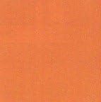 Party Favors Plus Orange Plastic Deco-Puff Pom Flowers 12 Count