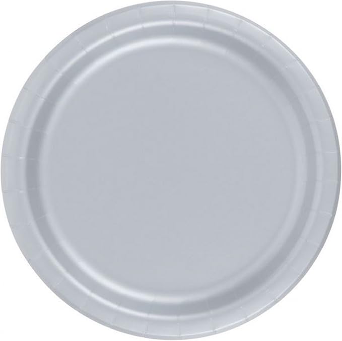 Party Favors Plus Silver Paper Plates 48 Count