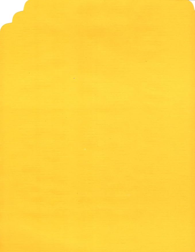 Party Favors Plus Harvest Yellow Paper Placemats Straight Edge 72 Count