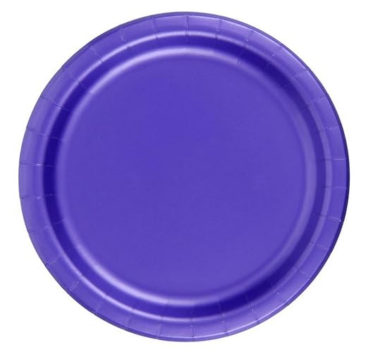 Party Favors Plus Paper Plates Purple 24 Count