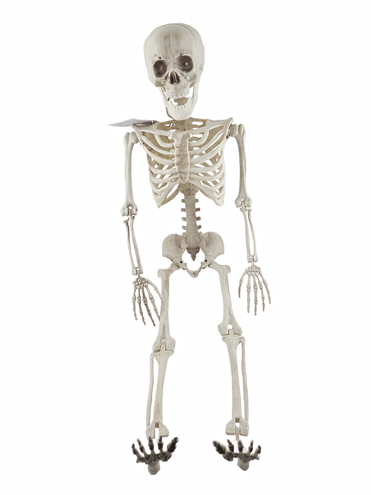 Light-Up Eyes & Sound Plastic Natural Color Skeleton Halloween Decoration 36 in
