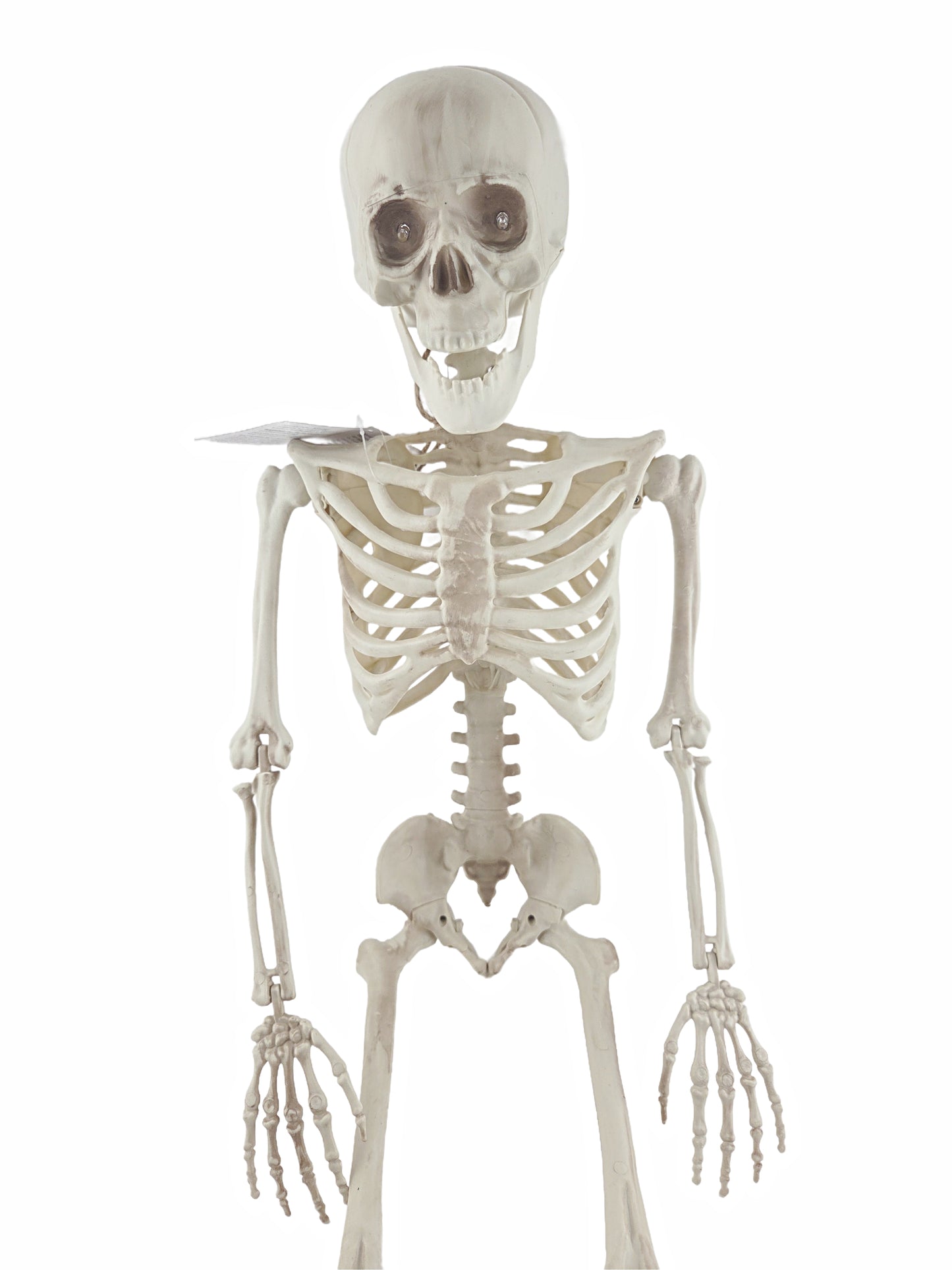 Light-Up Eyes & Sound Plastic Natural Color Skeleton Halloween Decoration 36 in