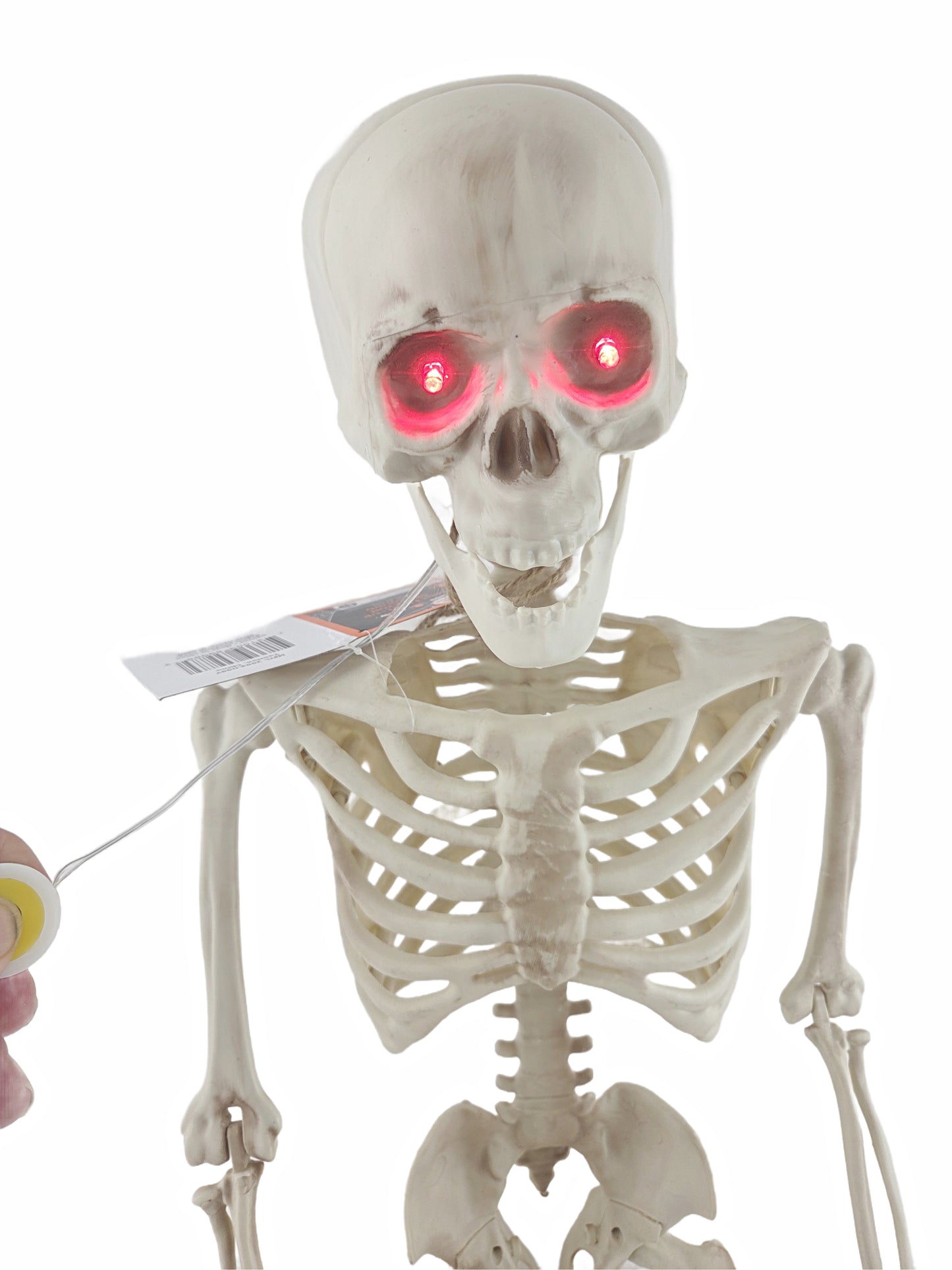 Light-Up Eyes & Sound Plastic Natural Color Skeleton Halloween Decoration 36 in