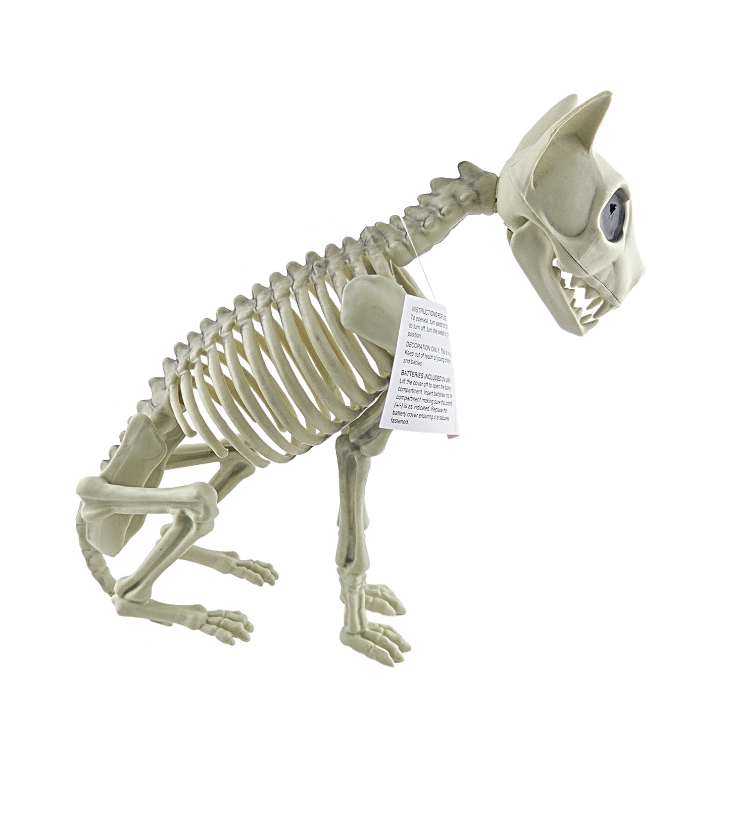 Jumbo Dog Skeleton Halloween Decoration with Light-Up Eyes 12.5 in