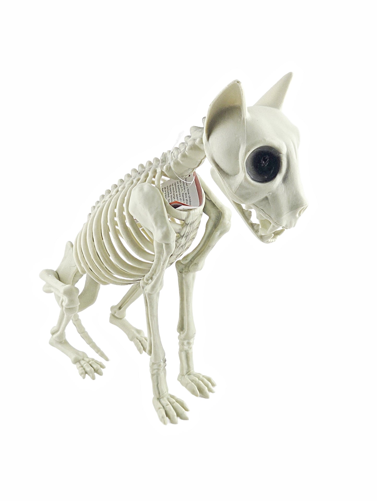 Jumbo Dog Skeleton Halloween Decoration with Light-Up Eyes 12.5 in