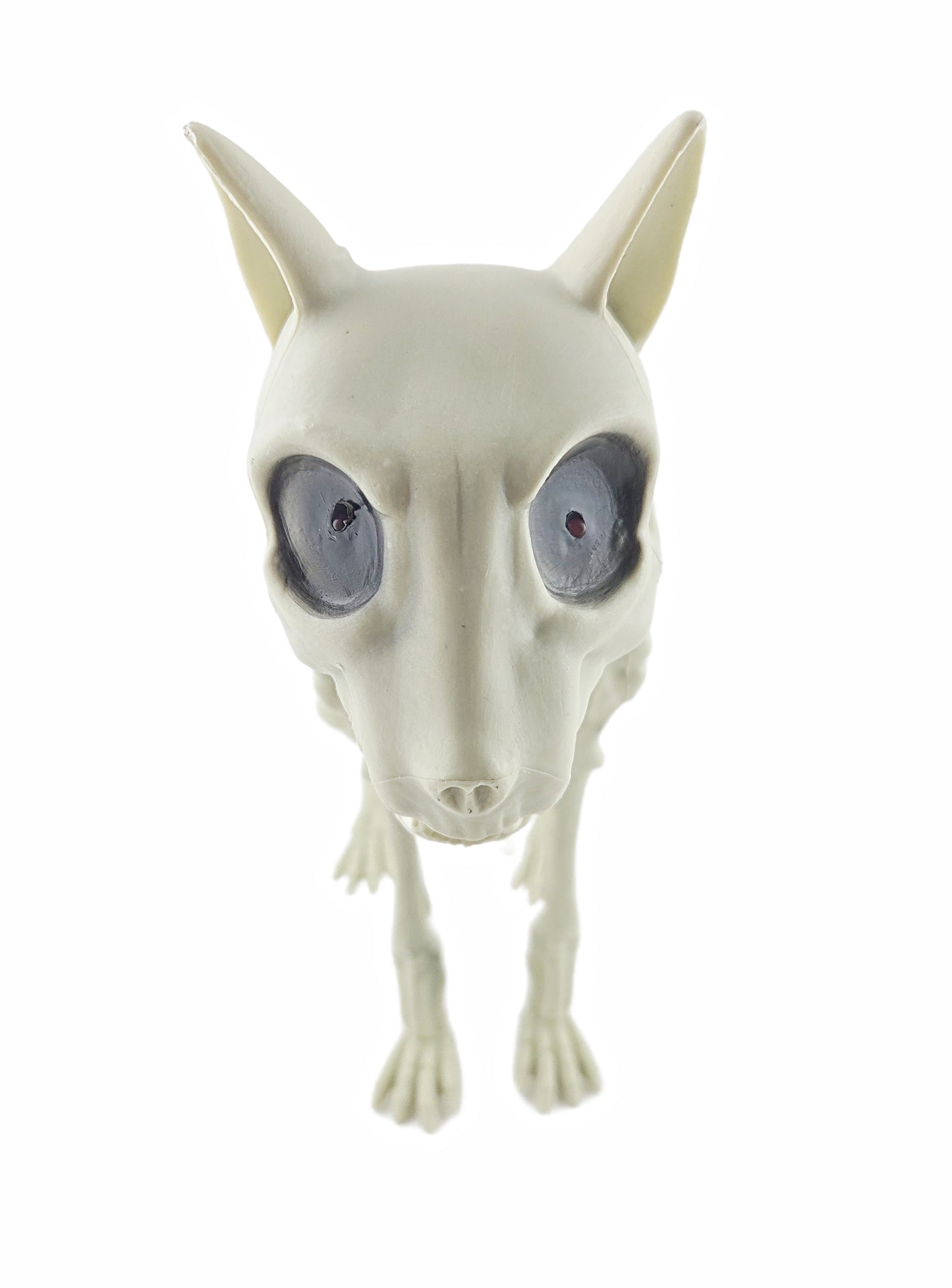 Jumbo Dog Skeleton Halloween Decoration with Light-Up Eyes 12.5 in