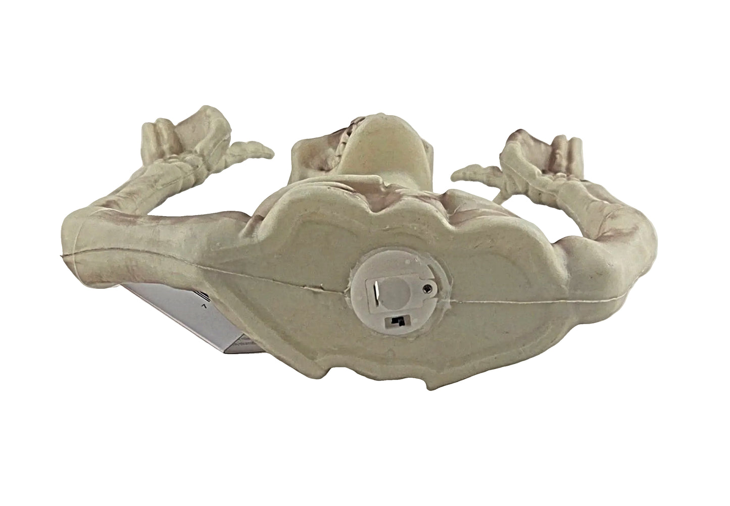 Funny Expression Upper Torso Plastic Skeleton with Light-Up Eyes