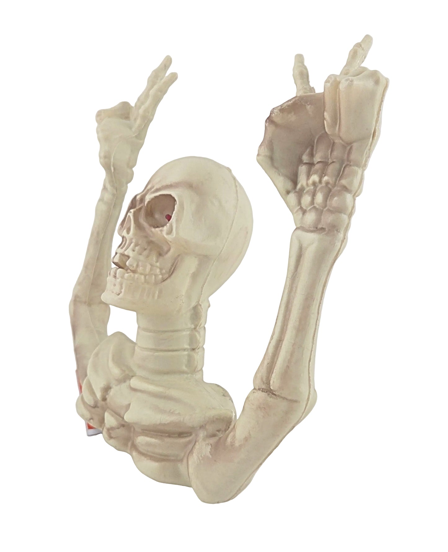 Funny Expression Upper Torso Plastic Skeleton with Light-Up Eyes