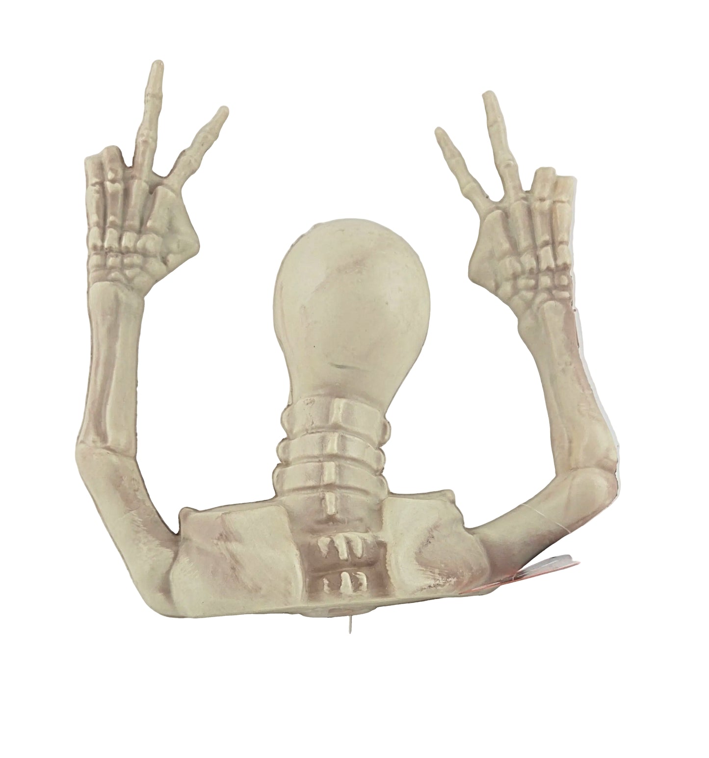 Funny Expression Upper Torso Plastic Skeleton with Light-Up Eyes