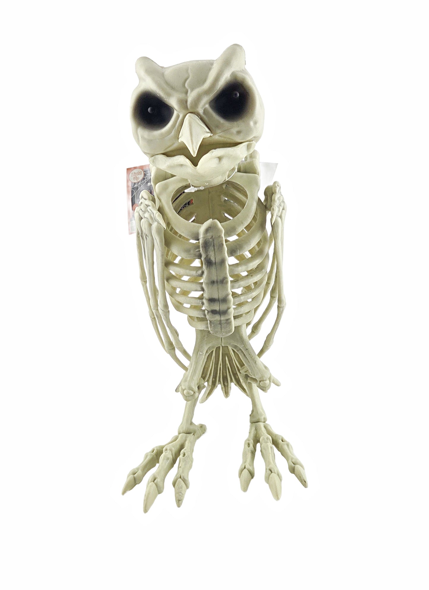 Jumbo Owl Skeleton Halloween Decoration with Light-Up Eyes 33 cm