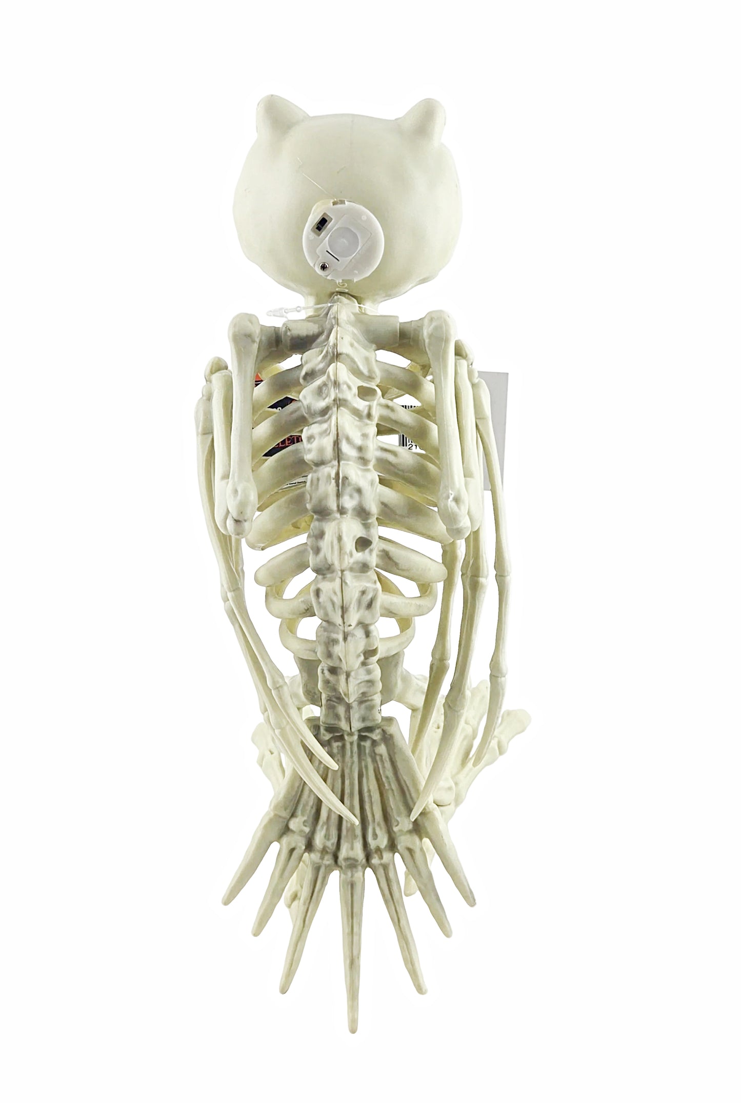 Jumbo Owl Skeleton Halloween Decoration with Light-Up Eyes 33 cm