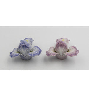 Cosmos Gifts Fine Porcelain Iris Flower Salt and Pepper Shakers Set 2-1/4" H