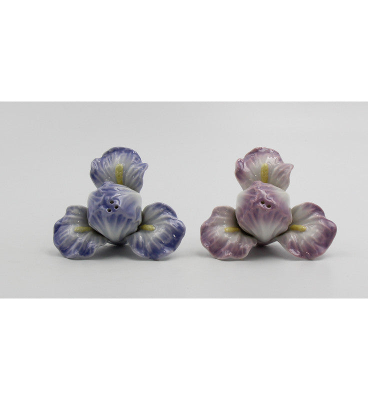 Cosmos Gifts Fine Porcelain Iris Flower Salt and Pepper Shakers Set 2-1/4" H