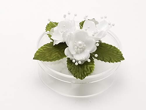 PFP Clear Round Plastic Cookie Nut Candy Box with Pearl Satin Organza Flower 4.5 In Hunter Green