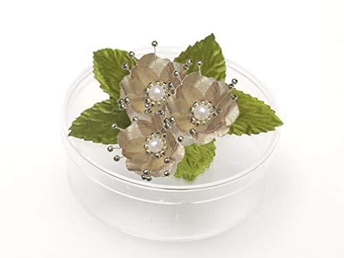 PFP Clear Round Plastic Cookie Nut Candy Box with Pearl Satin Organza Flower 4.5 In Hunter Green