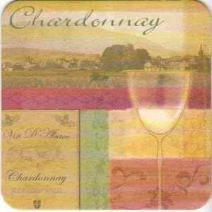 Party Favors Plus Multicolor Paper Coasters Wine Grapes Motif 8 Count