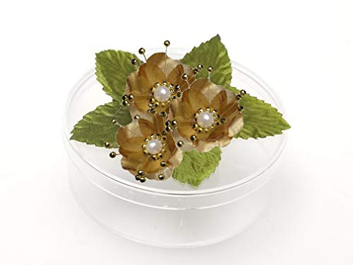 PFP Clear Round Plastic Cookie Nut Candy Box with Pearl Satin Organza Flower 4.5 In Hunter Green