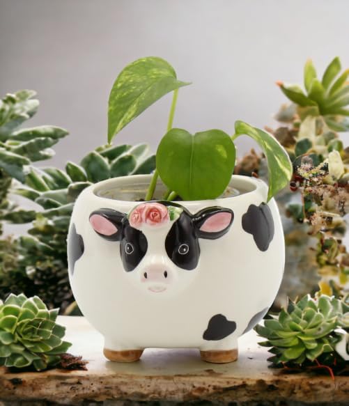 Cosmos Gifts Fine Ceramic Country Barnyard Milk Cow Candy Dish Bowl 5-1/8" L