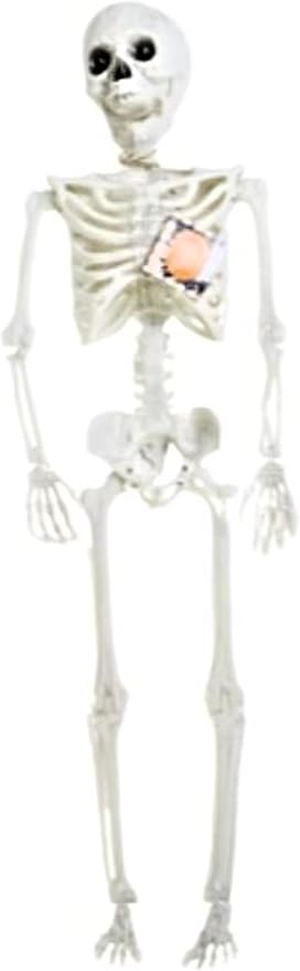 Light-Up Eyes & Sound Plastic Skeleton Halloween Decoration 36 in