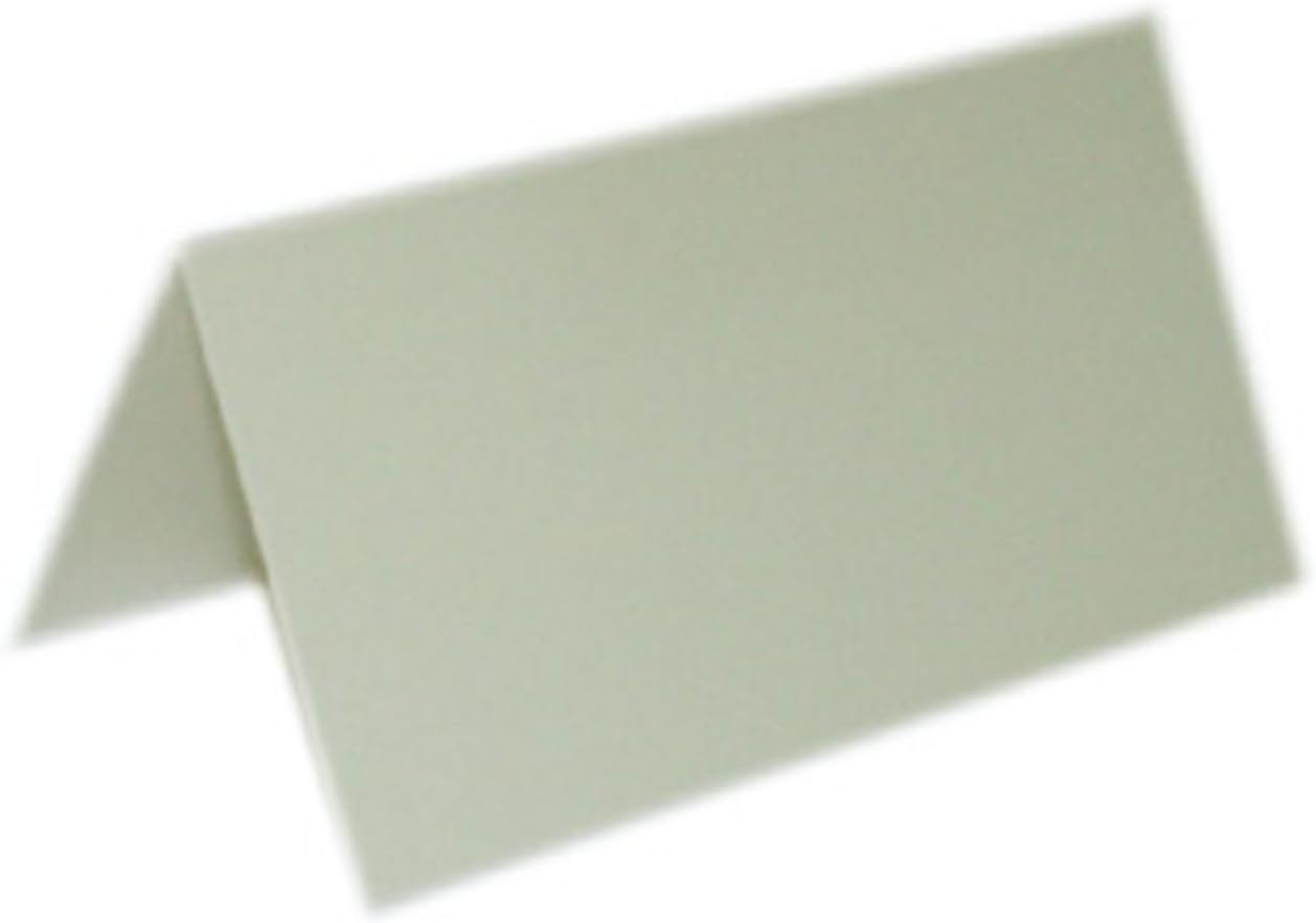 Party Favors Plus Ivory Place Cards 50 Count