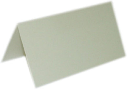 Party Favors Plus Ivory Place Cards 50 Count