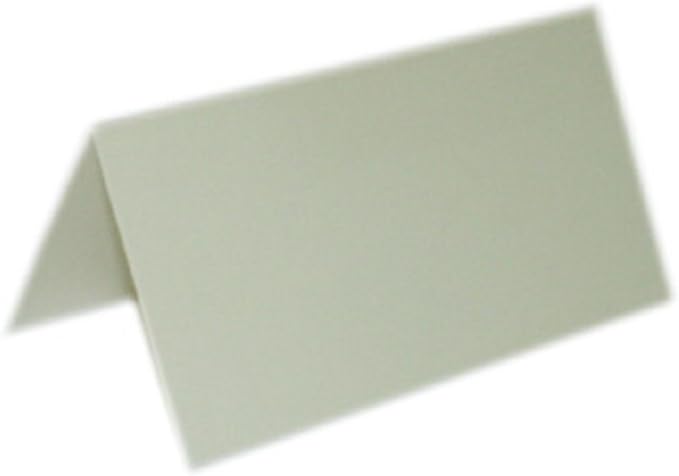 Party Favors Plus Ivory Place Cards 50 Count