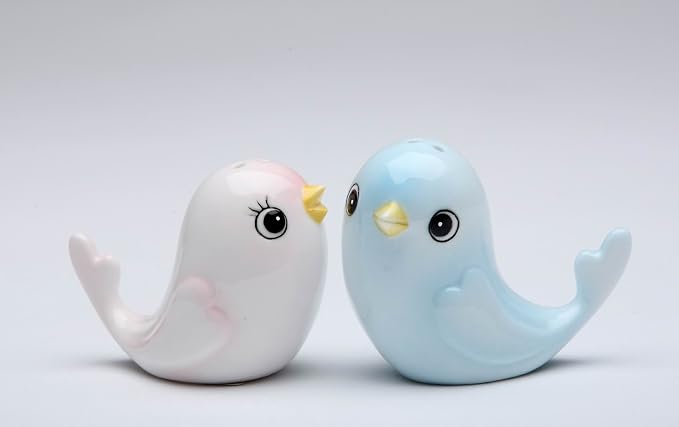 Cosmos Gifts Fine Porcelain Cute Love Blue & Pink Bird Salt & Pepper Shakers Set