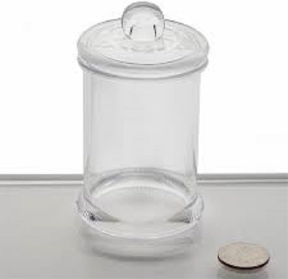 Party Favors Plus Clear Acrylic Candy Jar Party Favors 12 Count