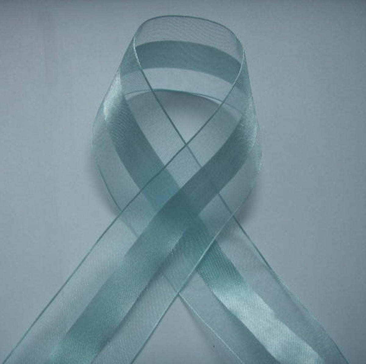 Party Favors Plus Light Blue Organza and Satin Ribbon 1.5in 25 Yards
