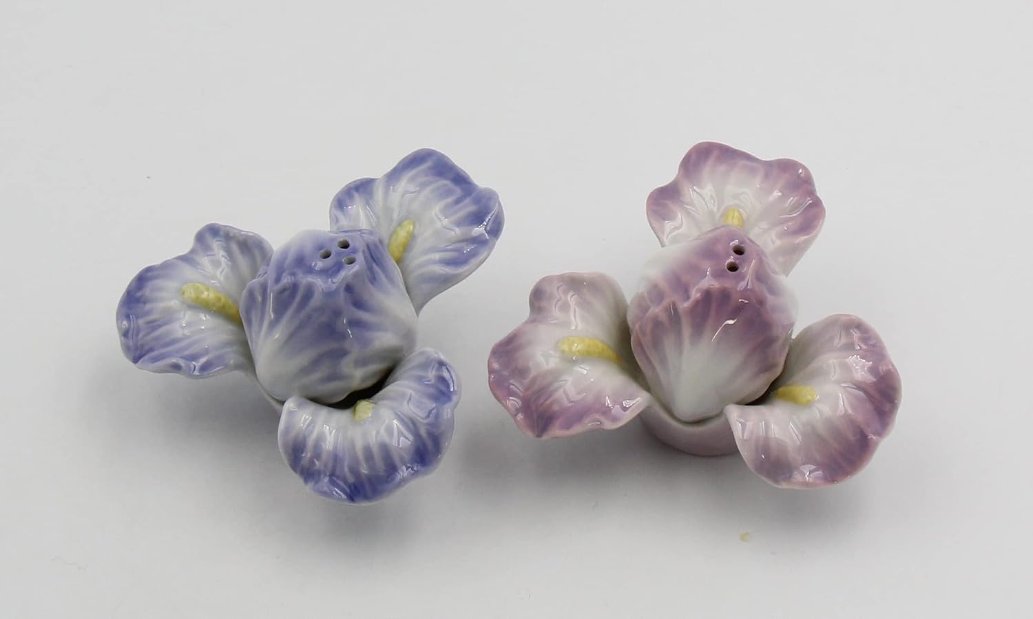 Cosmos Gifts Fine Porcelain Iris Flower Salt and Pepper Shakers Set 2-1/4" H