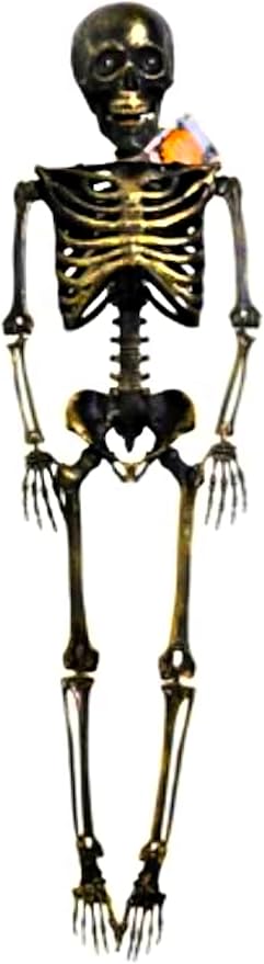Light-Up Eyes & Sound Bronze Plastic Skeleton 36 inch (3 x AAA Batteries are not Included)