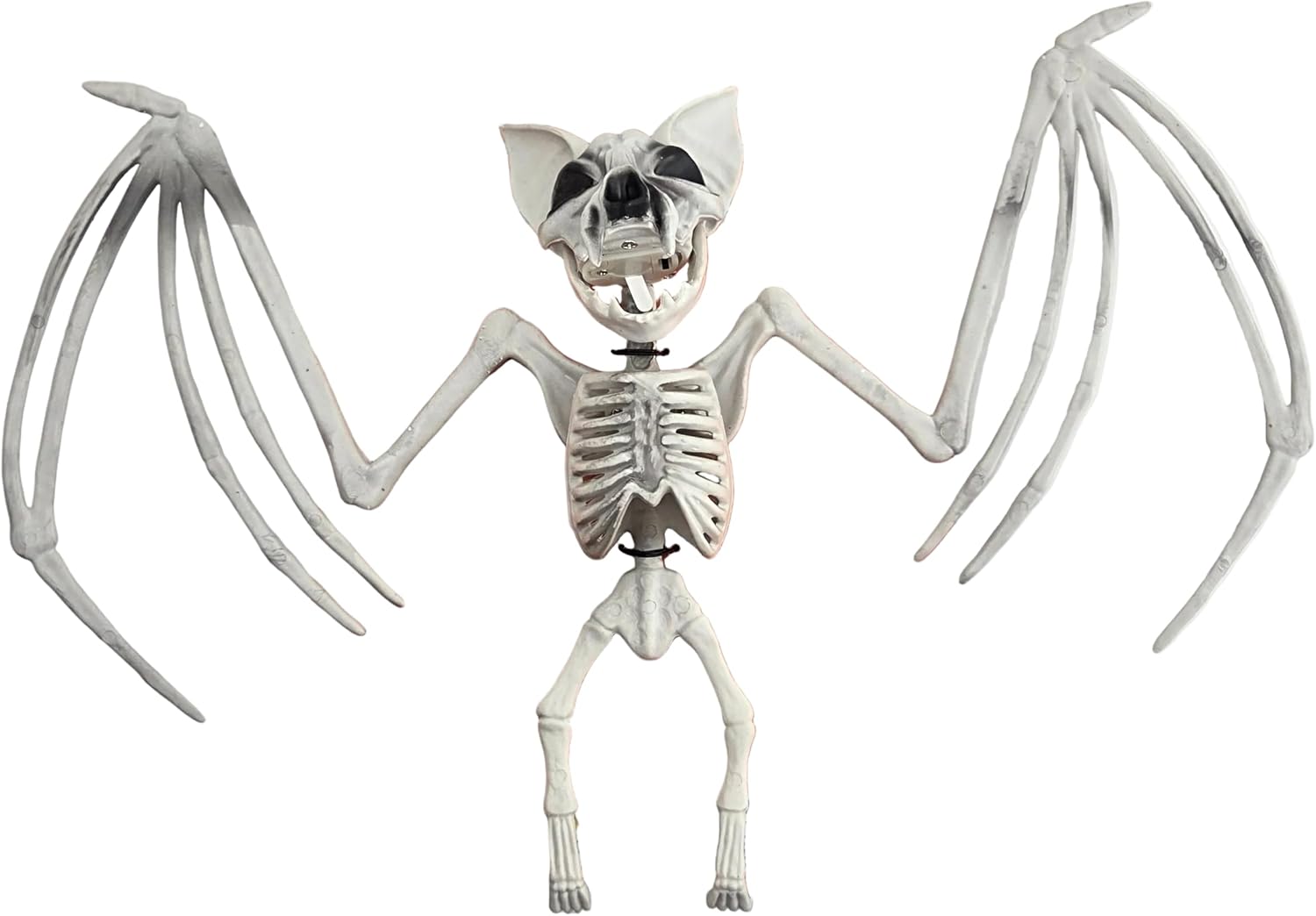 Halloween Bat Skeleton Set of 2 with Light-Up Eyes, 10H x 15.75W in. Assortment of Natural and Black