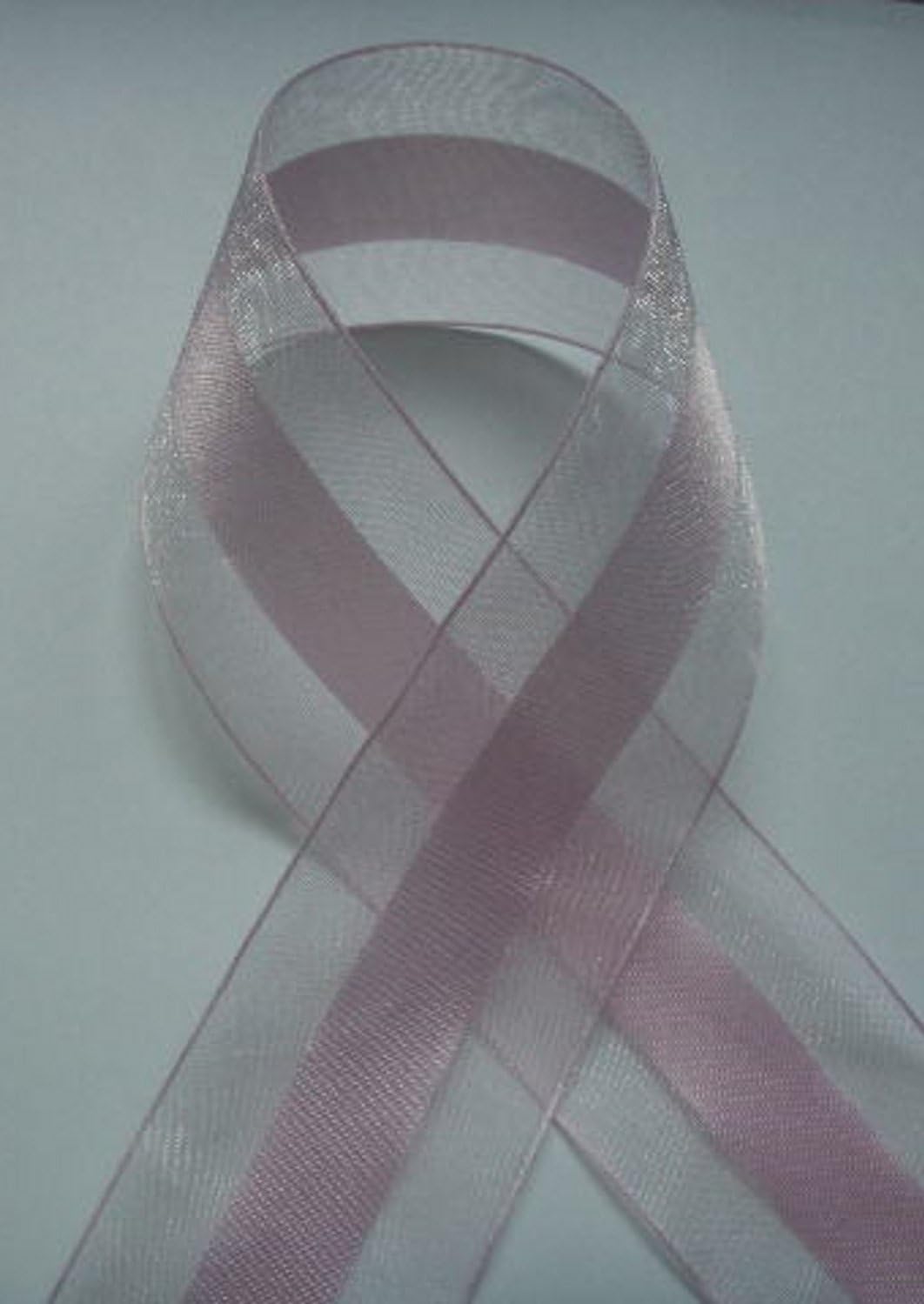 Party Favors Plus Light Pink Organza and Satin Ribbon 1.5in 25 Yards