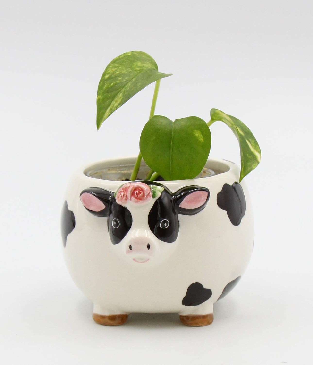Cosmos Gifts Fine Ceramic Country Barnyard Cow Candy Dish Bowl/Plant Planter 5" L Multicolored