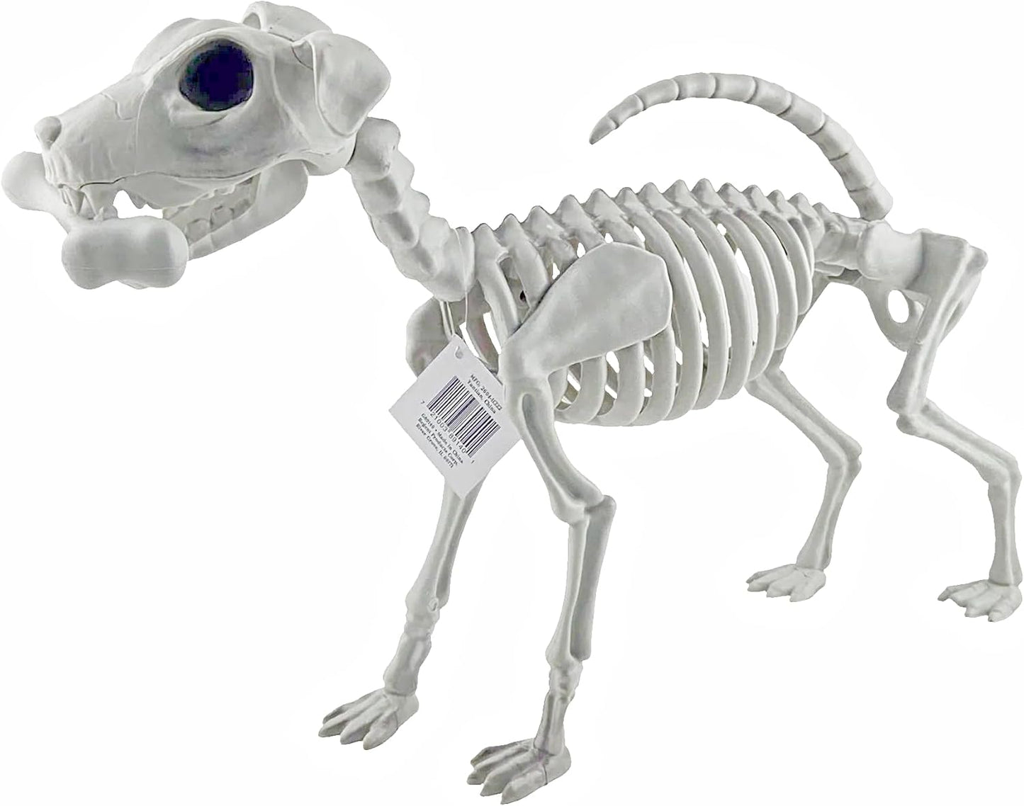 Plastic Dog Skeleton Halloween Decoration 29 x 54 cm