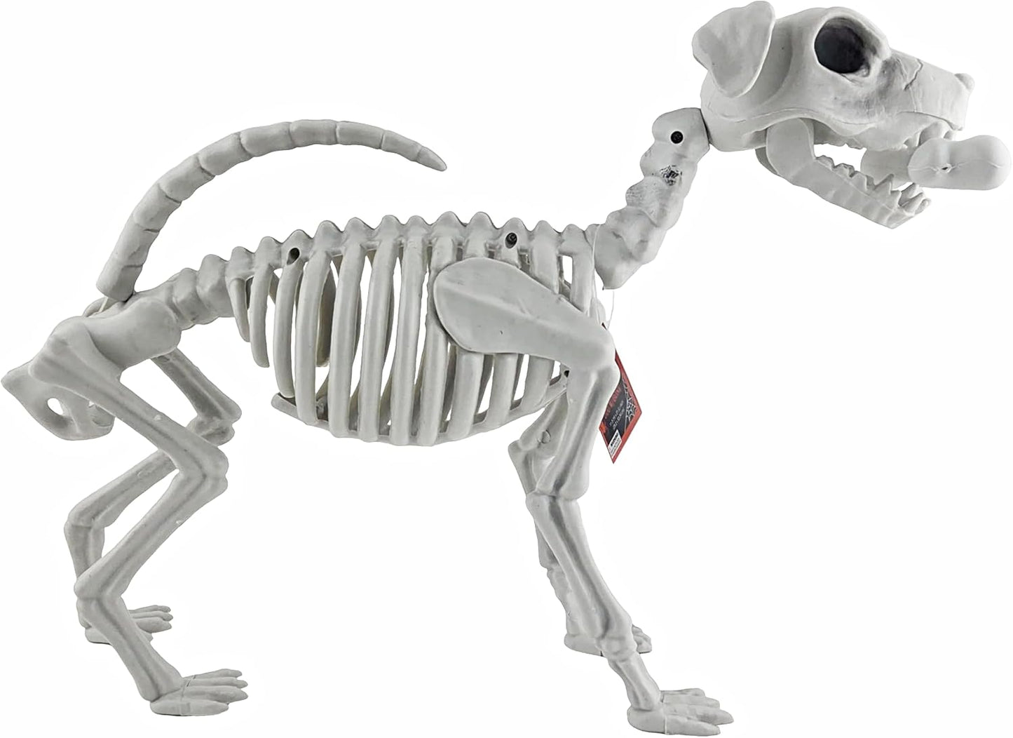 Plastic Dog Skeleton Halloween Decoration 29 x 54 cm