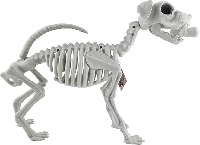 Plastic Dog Skeleton Halloween Decoration 29 x 54 cm