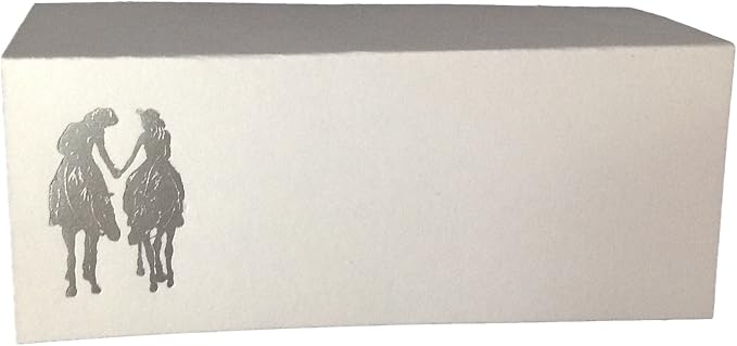 Party Favors Plus Silver Romance Tent Style White Place Cards 100 Count