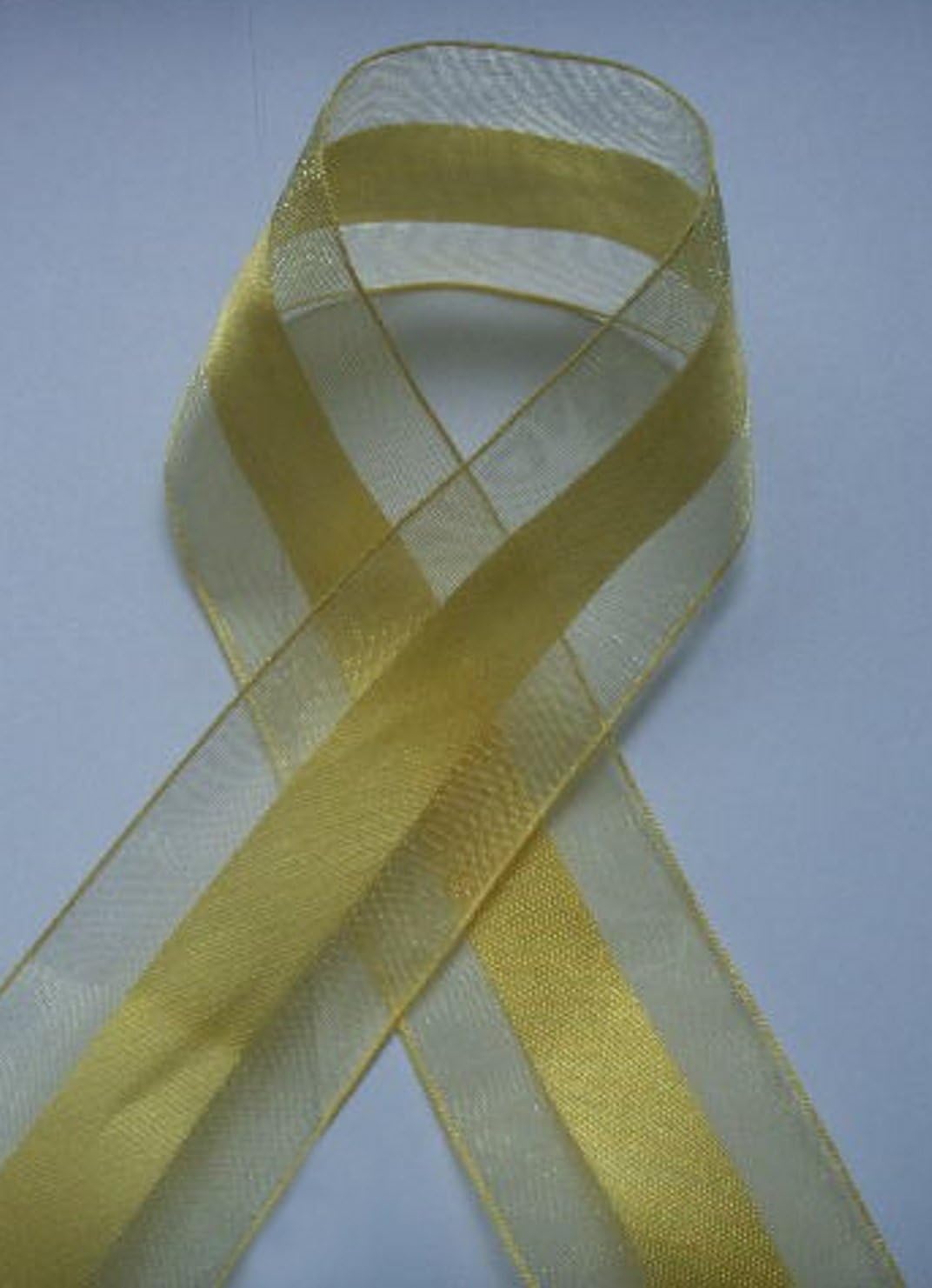 Party Favors Plus Harvest Yellow Organza and Satin Ribbon 1.5in 25 Yards