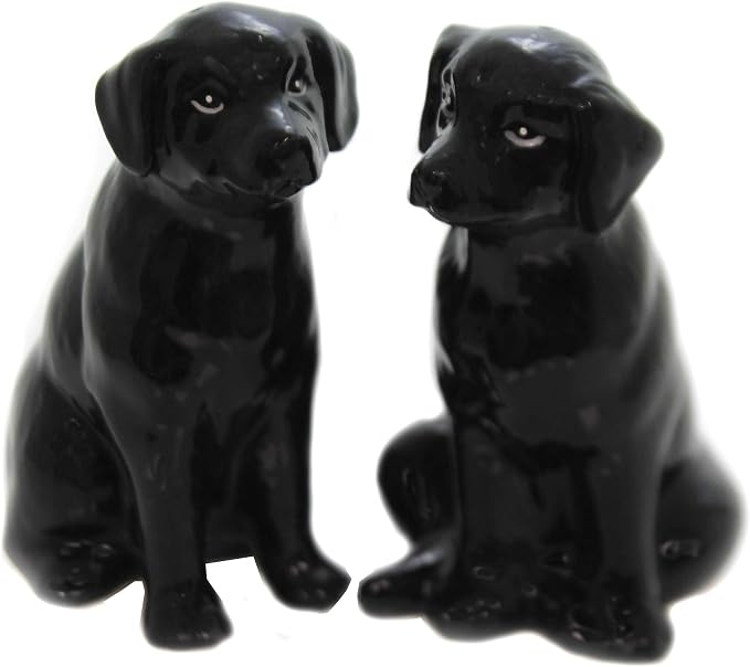 Cosmos Gifts Fine Ceramic Black Labrador Dog Salt & Pepper Shakers Set 3-3/4" H