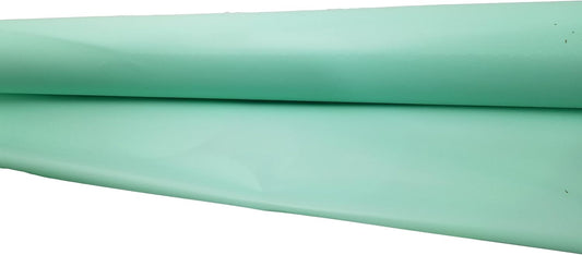 Party Favors Plus Mint Green Heavy Duty Plastic Tablecloth Roll 40 X 100 Ft