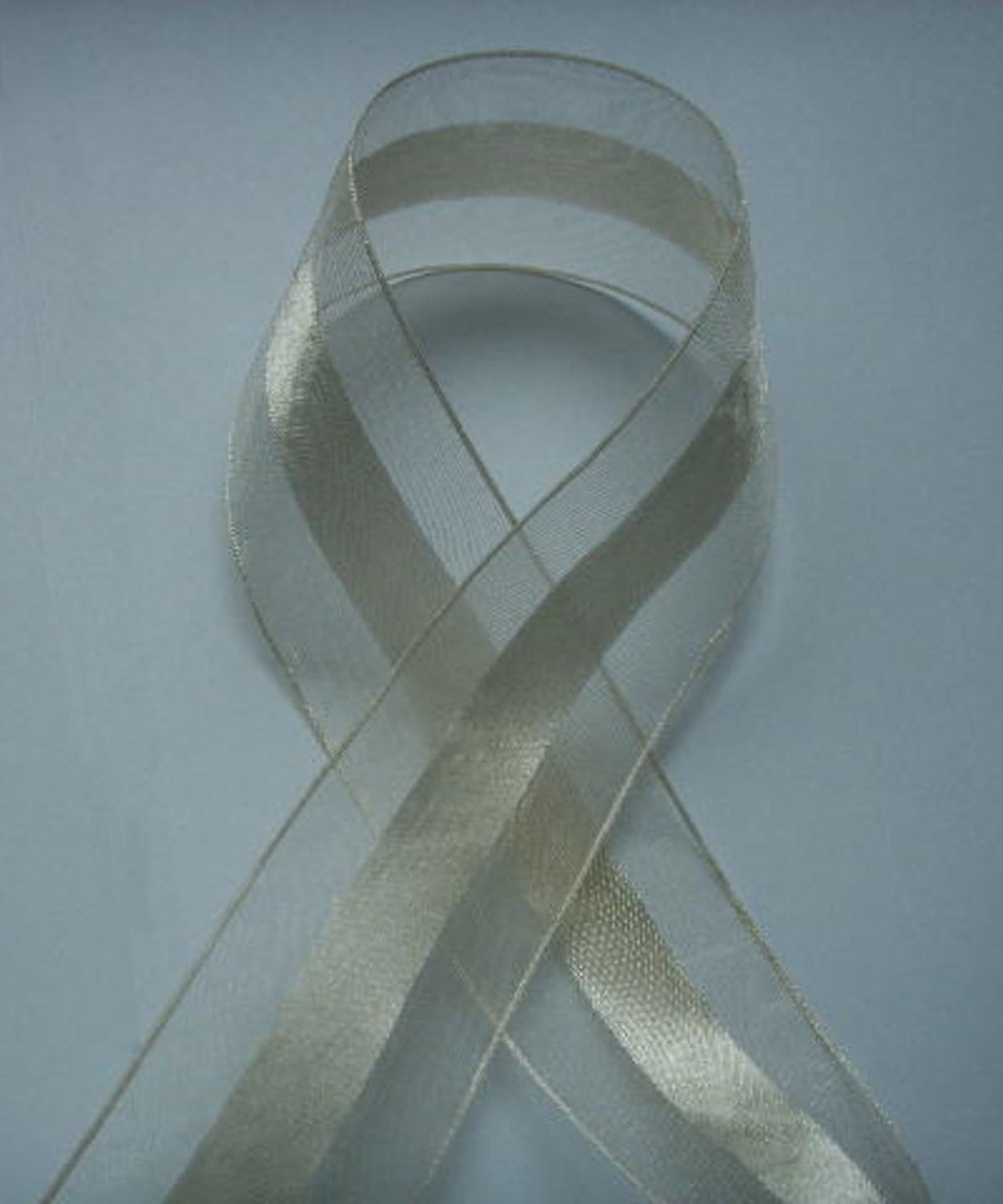 Party Favors Plus Ivory Organza and Satin Ribbon 1.5in 25 Yards