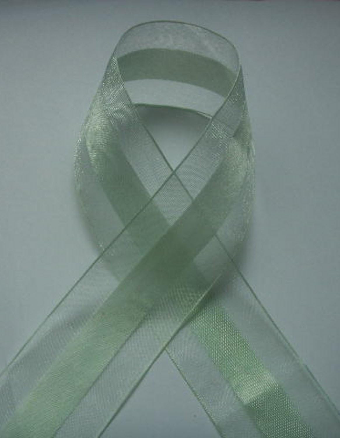 Party Favors Plus Light Lime Green Organza and Satin Ribbon 1.5in 25 Yards