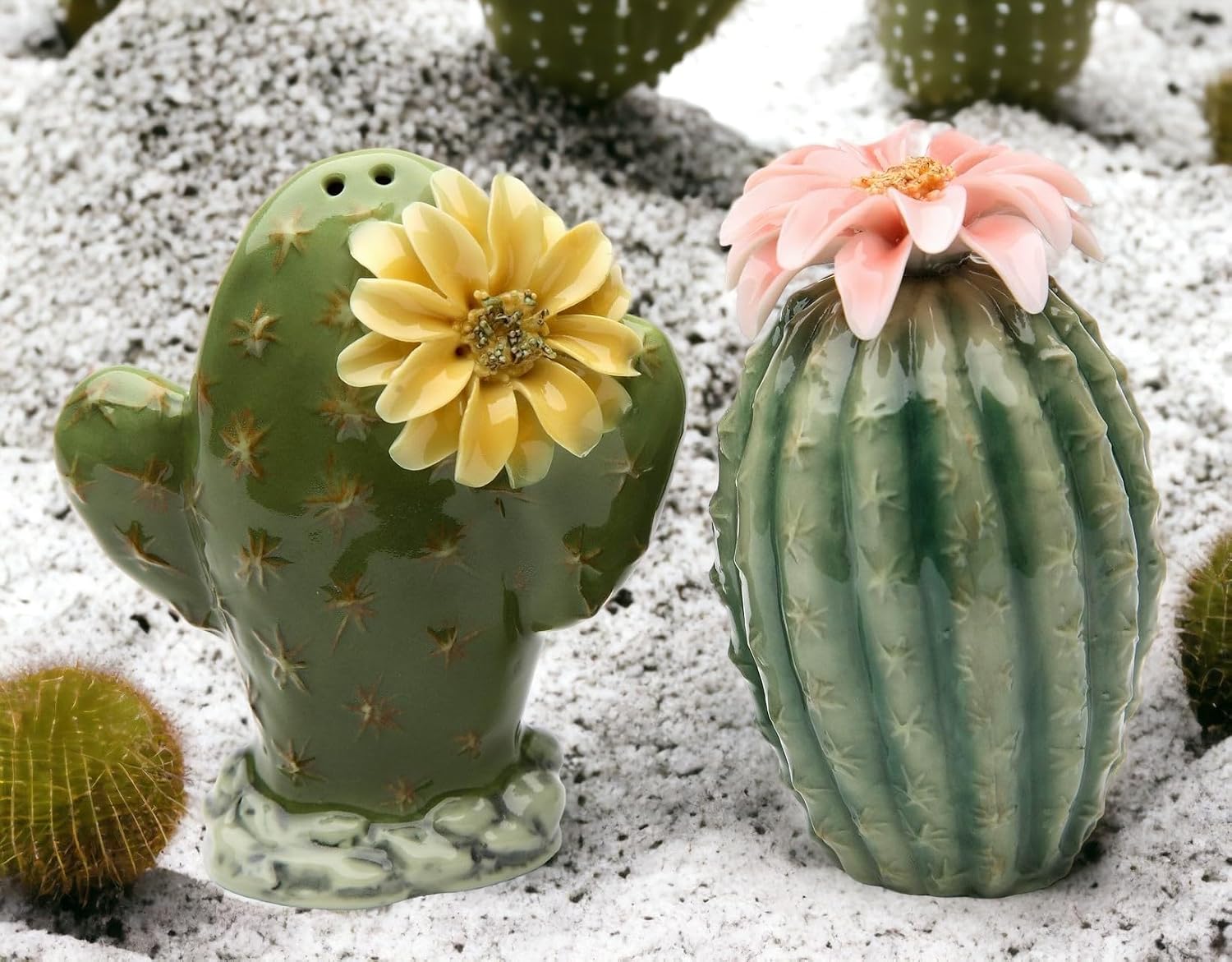 StealStreet Fine Ceramic Painted Cactus Flowers Salt & Pepper Shakers Set 3.12" H