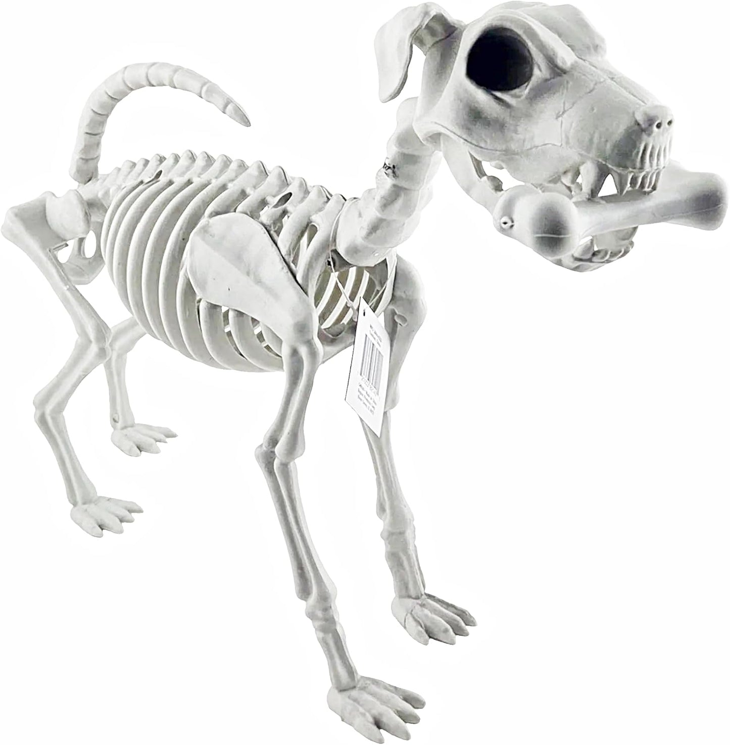 Plastic Dog Skeleton Halloween Decoration 29 x 54 cm
