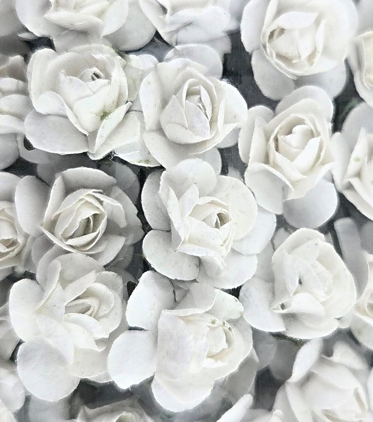 White Mini Paper Roses 288 Pack, 1.27 cm Diameter