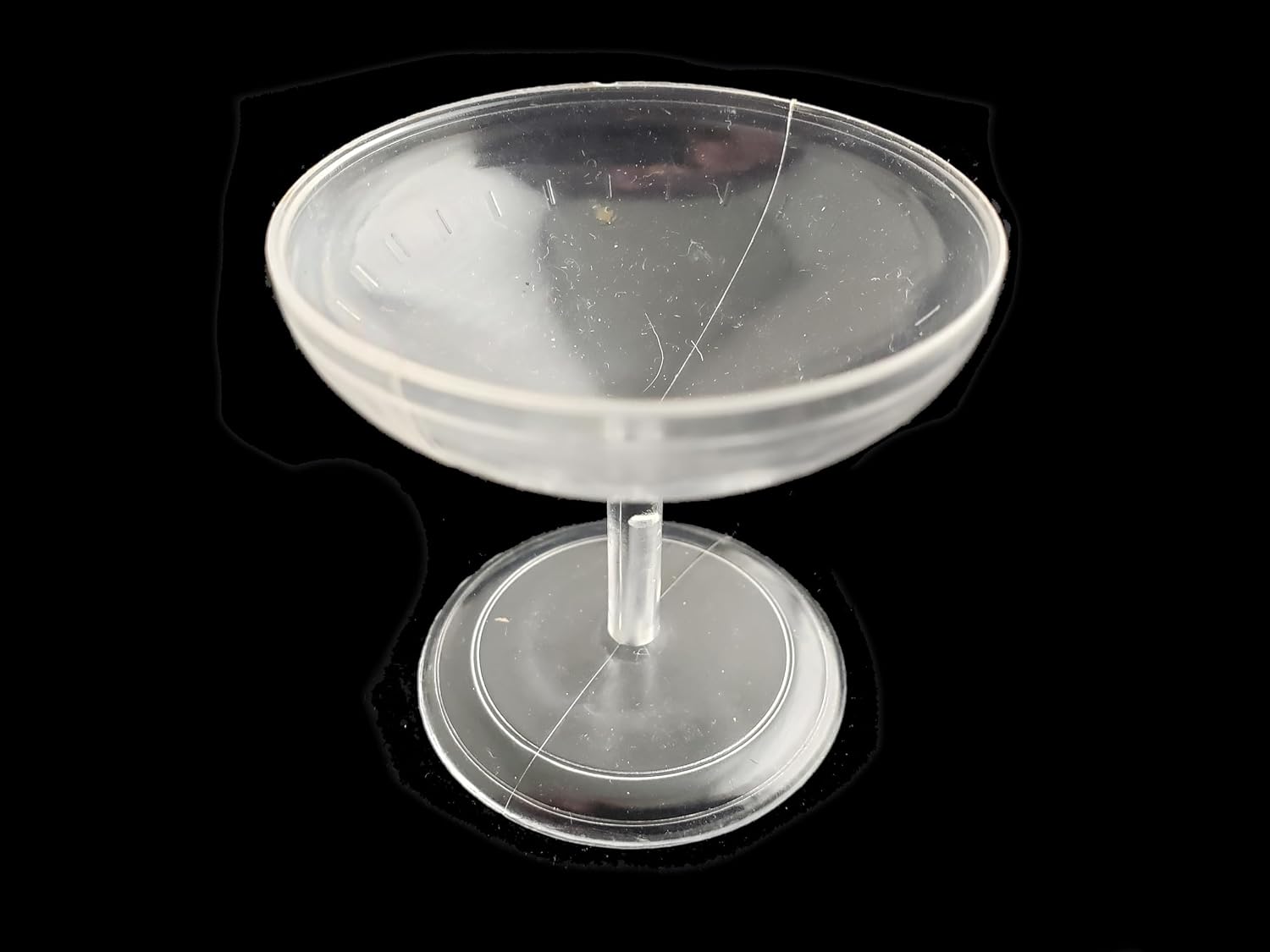 Party Favors Plus Clear Plastic Mini Champagne Glasses 2 Inch 12 Count