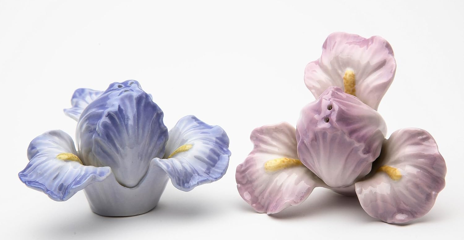 Cosmos Gifts Fine Porcelain Iris Flower Salt and Pepper Shakers Set 2-1/4" H