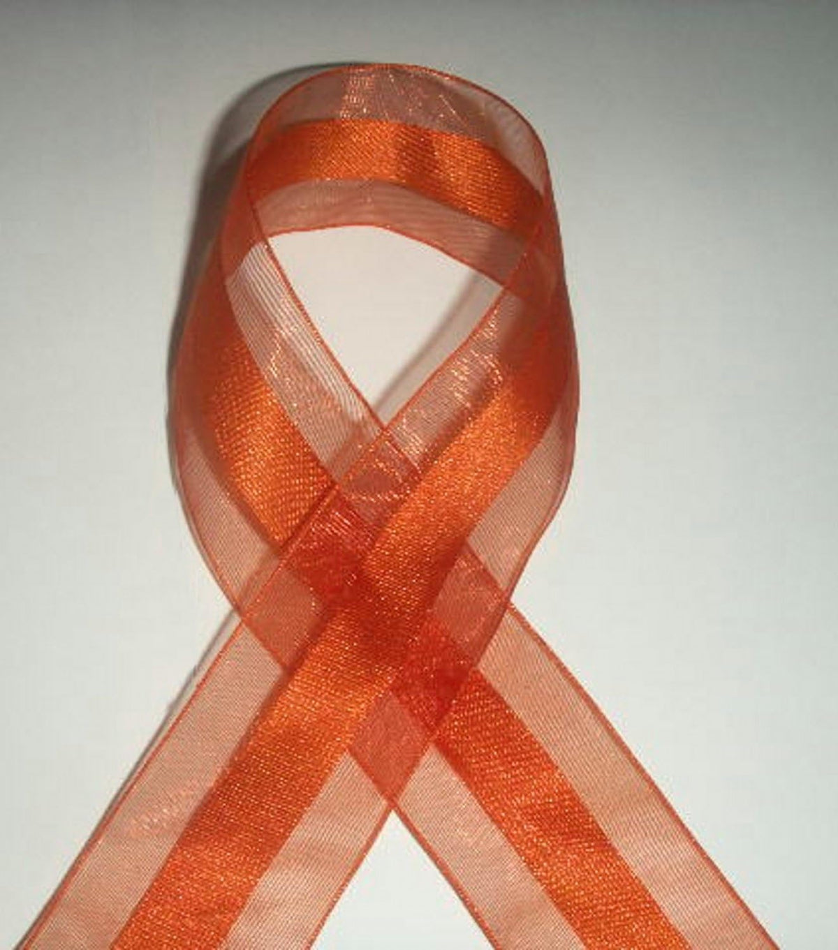 Party Favors Plus Orange Organza and Satin Ribbon 1.5in 25 Yards