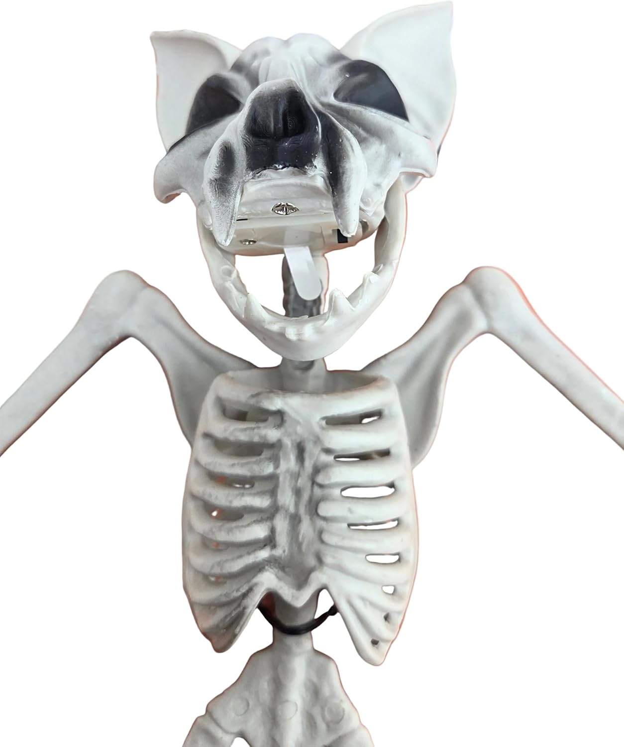 Halloween Bat Skeleton Set of 2 with Light-Up Eyes, 10H x 15.75W in. Assortment of Natural and Black